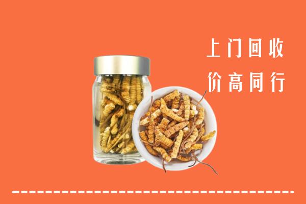 福州高价回收冬虫夏草